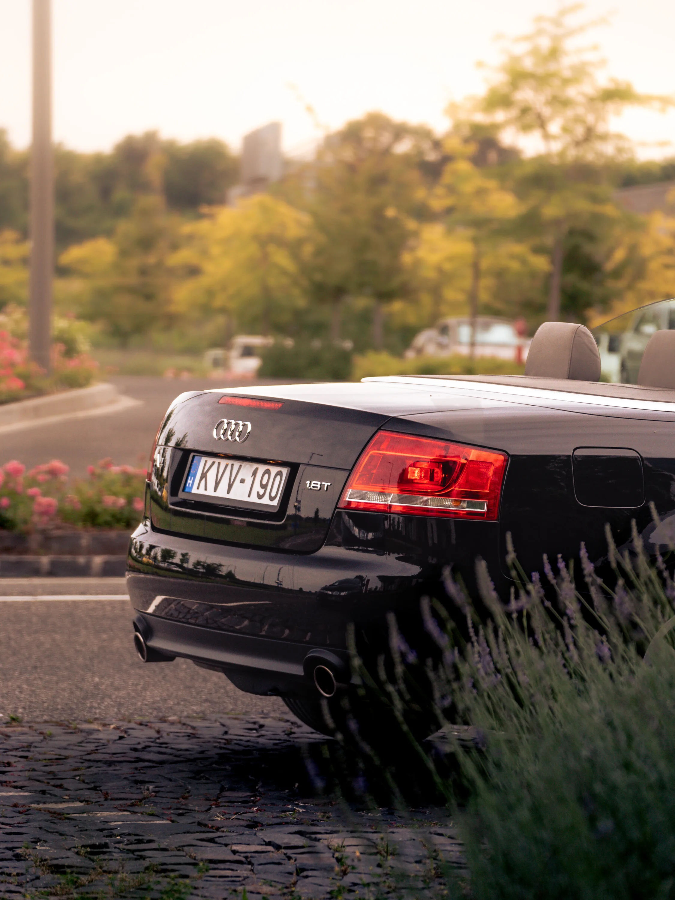 Audi A4 Cabriolet, frame 3